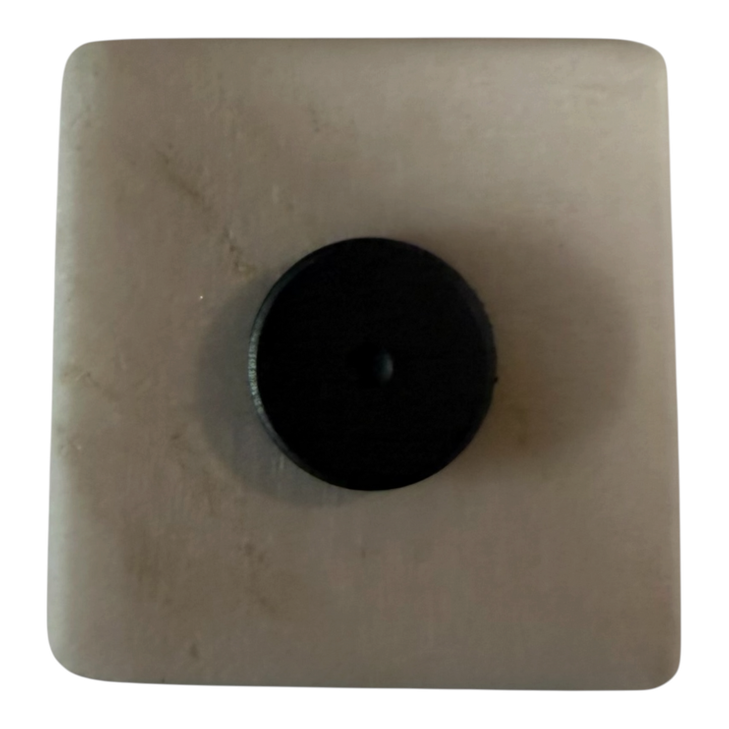 Carter's Bait & Tackle Magnet