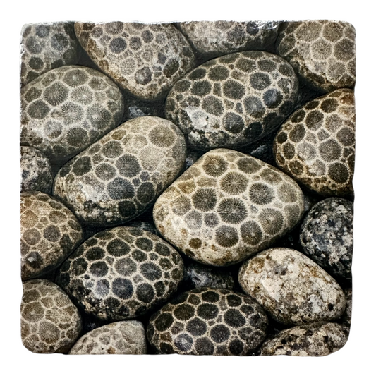 Petoskey Stone Marble Coaster